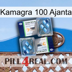 Kamagra 100 Ajanta viagra5
